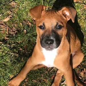 Meet your Posher, Gina